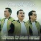 Grup Musik Trio Ambisi/Channel Youtube Trio Ambisi