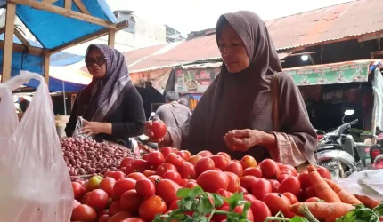 Mendadak, Harga Tomat di Aceh Tamiang Melonjak Tajam di Tengah Lesu Pembeli