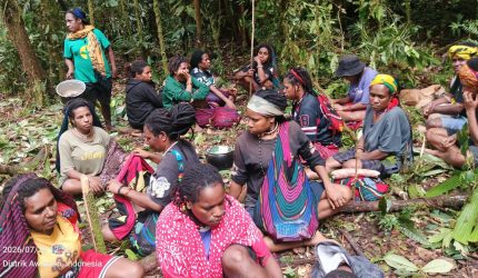 Warga Korowai mengungsi