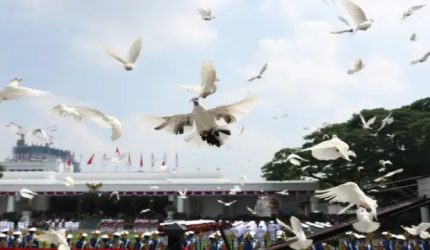 ICW Soroti Pengadaan Burung Merpati Rp. 305 Juta dalam rangka HUT RI ke-81 di Tengah Bencana