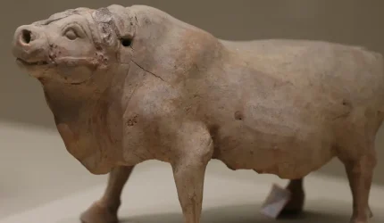 Siapa yang Membuat Ox Alpha? Misteri AI Sedang Memukau di Silicon Valley.